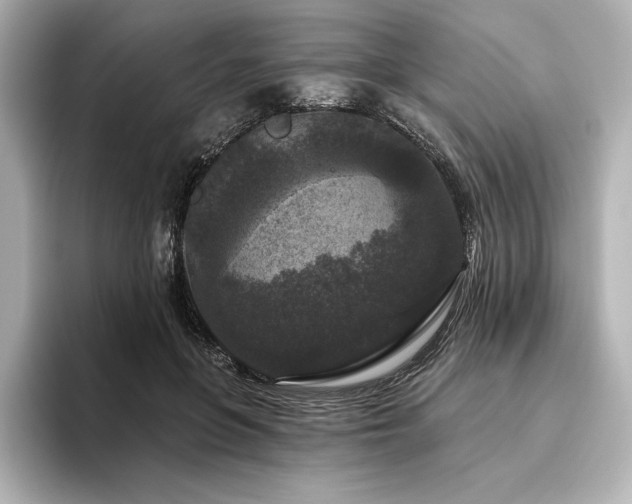 X0000096410551200801241223