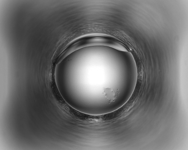 X0000096410552200801241223
