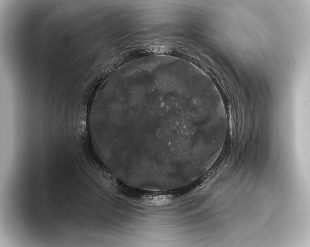 X0000096410553200801241223