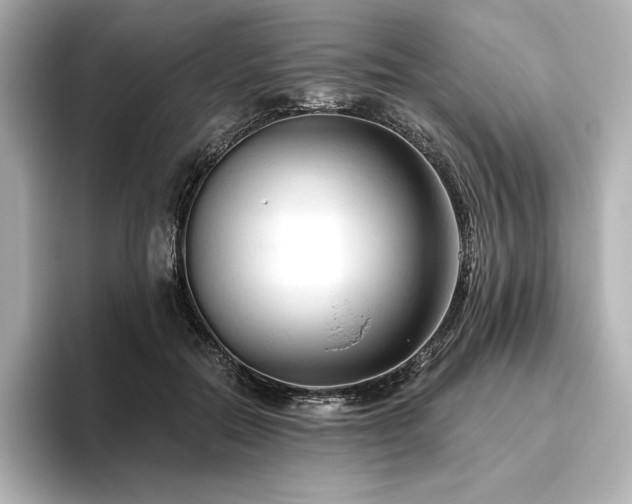 X0000096410554200801241223