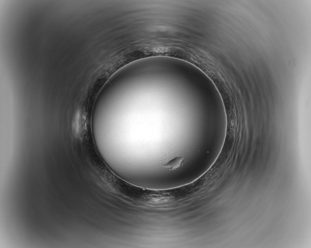 X0000096410555200801241223