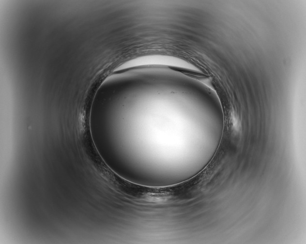 X0000096410556200801241223