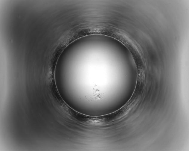 X0000096410557200801241223