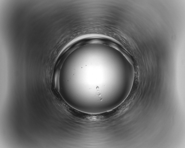 X0000096410558200801241223