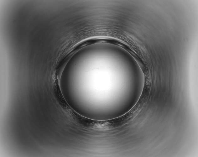 X0000096410560200801241223