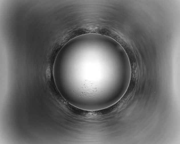 X0000096410562200801241223