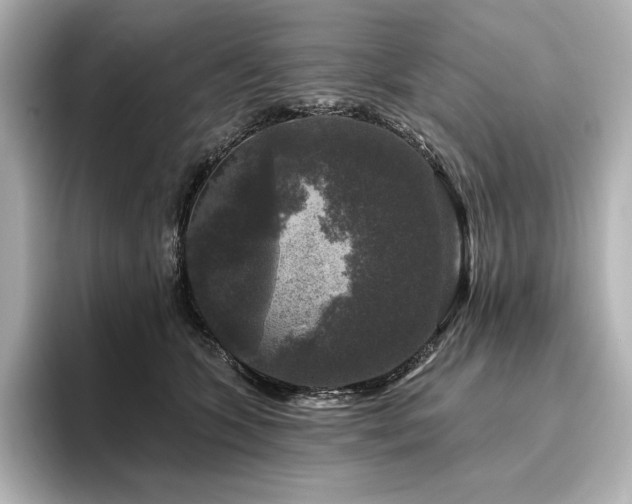 X0000096410563200801241223