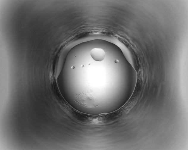 X0000096410564200801241223