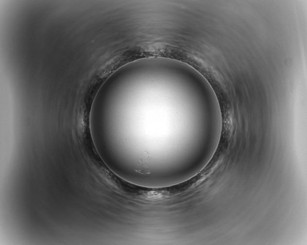 X0000096410566200801241223