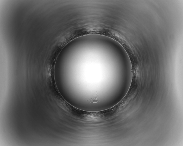 X0000096410567200801241223