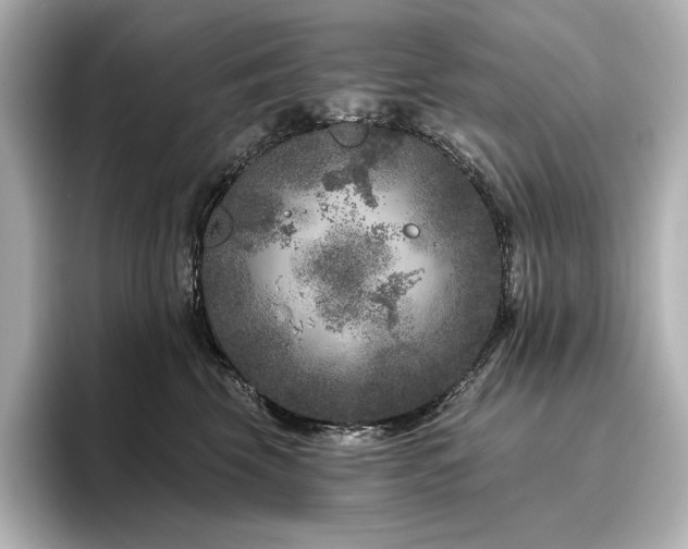 X0000096410569200801241223
