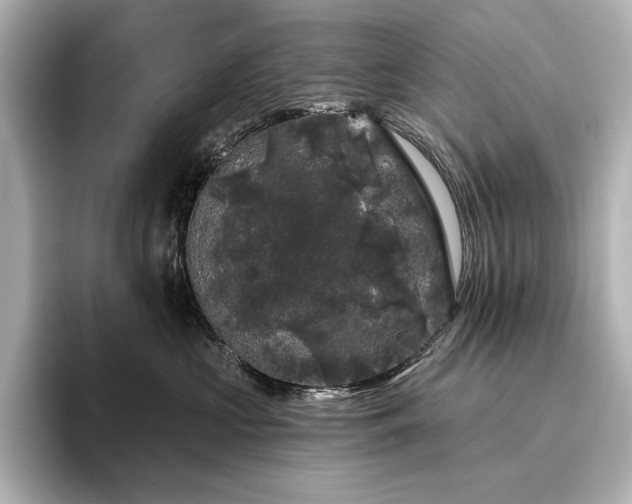 X0000096410573200801241223