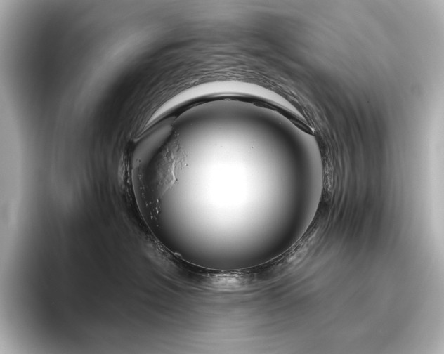 X0000096410574200801241223