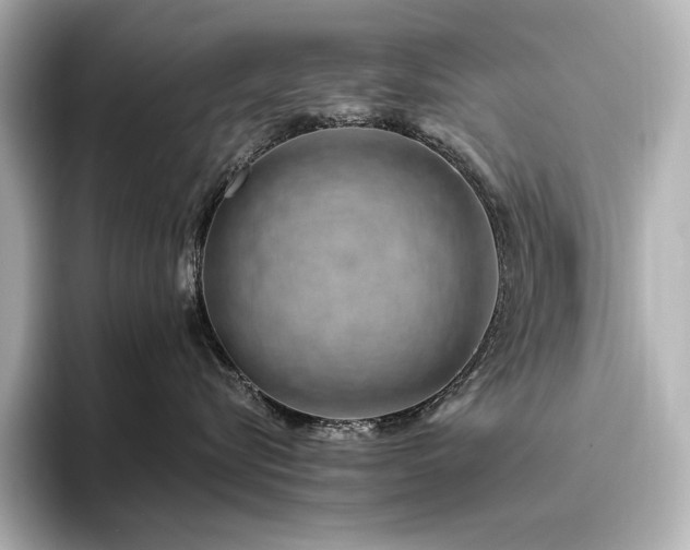 X0000096410576200801241223