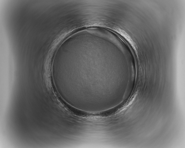 X0000096410577200801241222