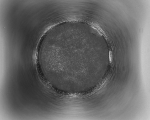 X0000096410579200801241222