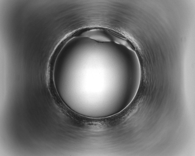 X0000096410580200801241222