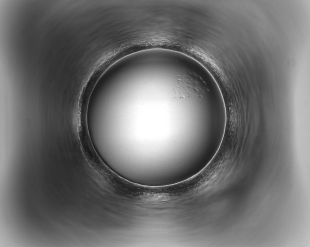 X0000096410582200801241222