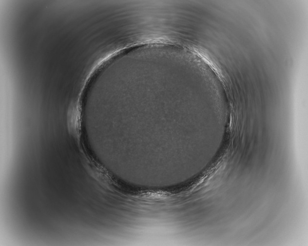 X0000096410583200801241222