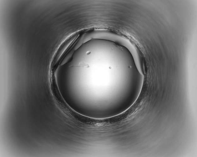 X0000096410584200801241222
