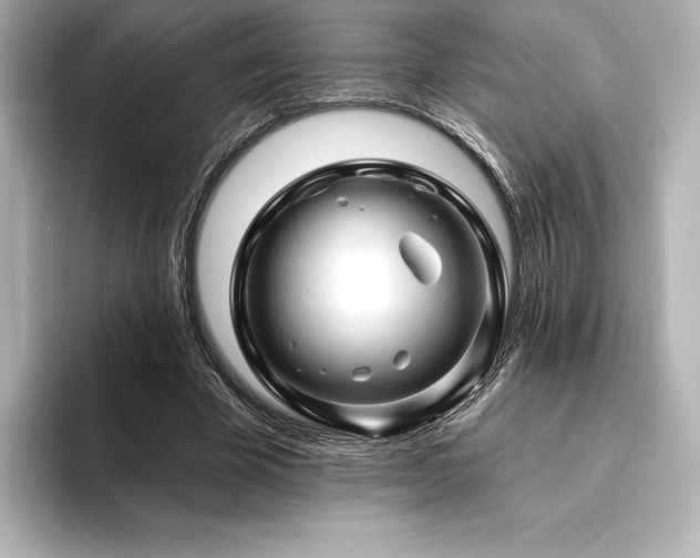 X0000096410585200801241222