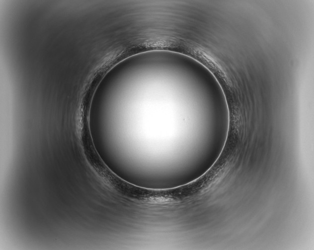 X0000096410586200801241222