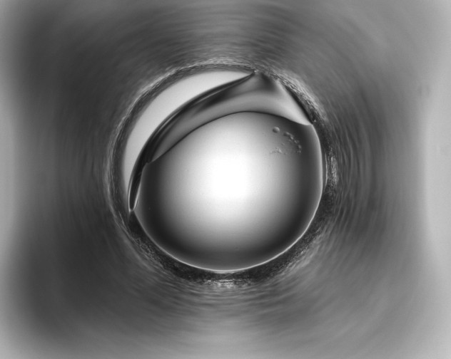 X0000096410588200801241222