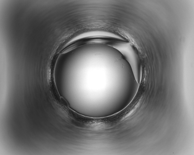 X0000096410589200801241222
