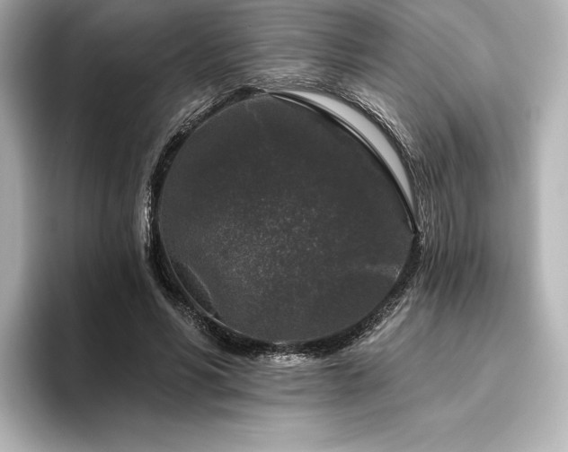 X0000096410590200801241222