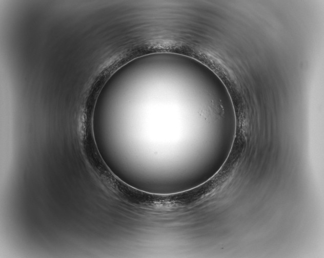 X0000096410591200801241222