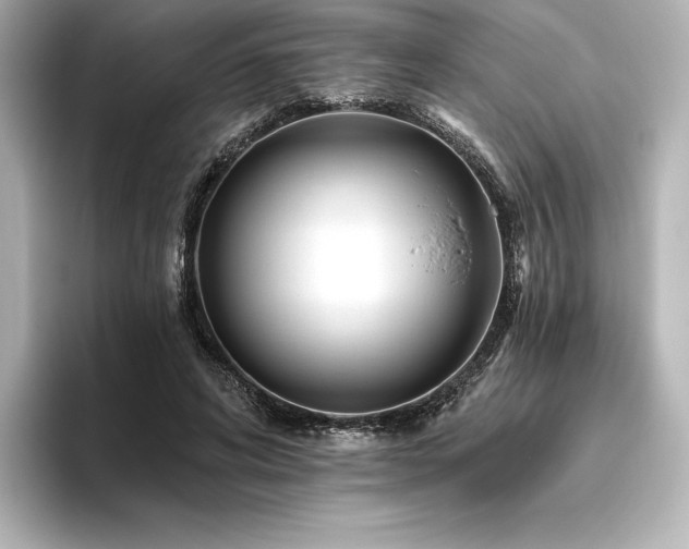 X0000096410592200801241222