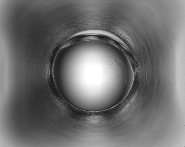 X0000096410593200801241222
