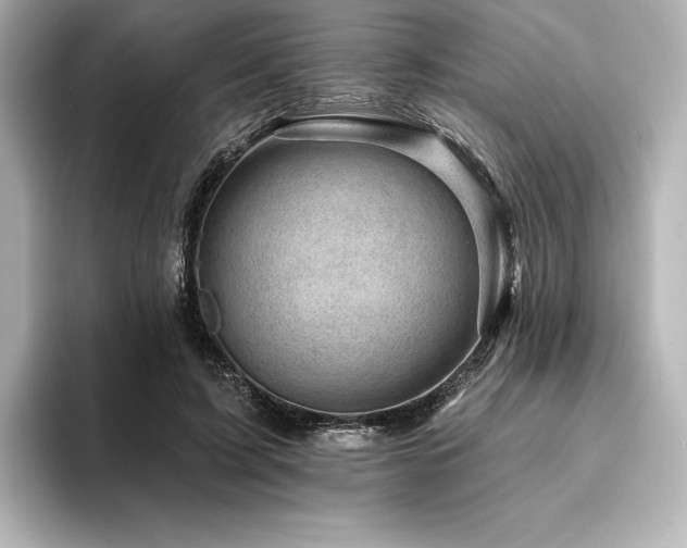 X0000096410595200801241222