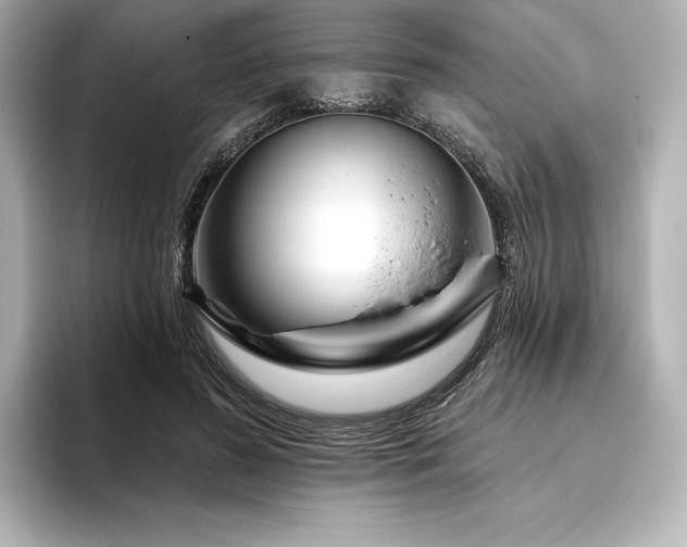 X0000096410596200801241222