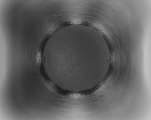 X0000096410598200801241222