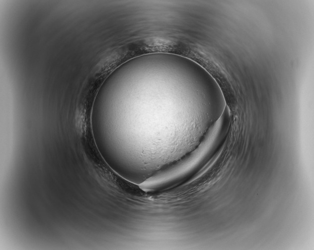 X0000096410599200801241222