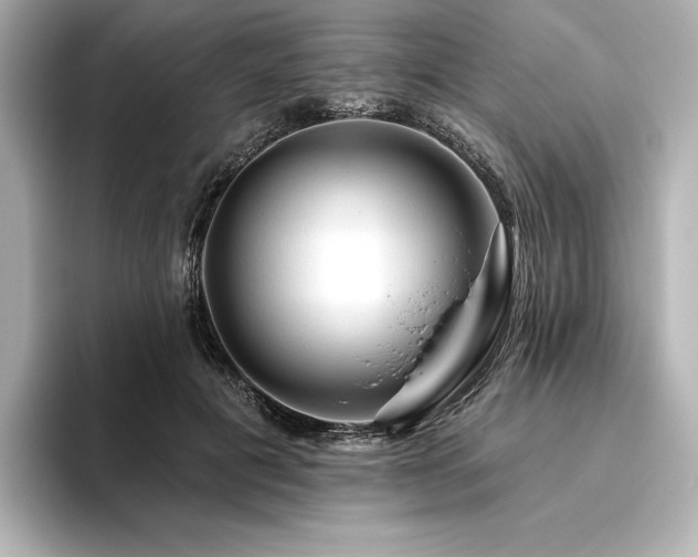 X0000096410601200801241222