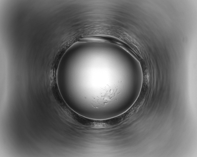 X0000096410605200801241222