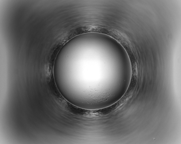 X0000096410607200801241222