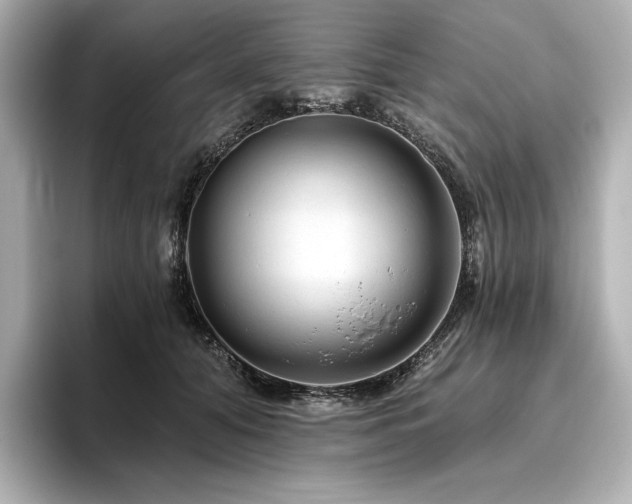 X0000096410608200801241222