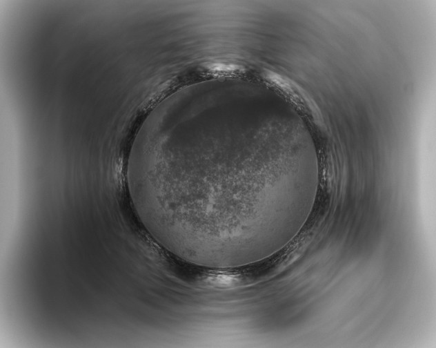 X0000096410610200801241222
