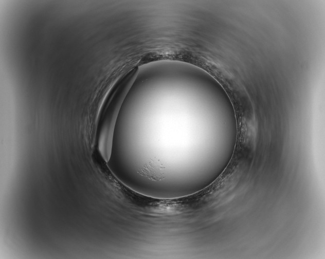 X0000096410612200801241222