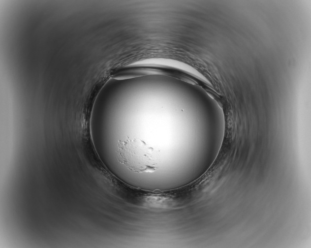X0000096410614200801241222