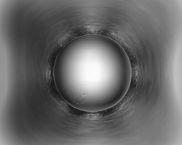 X0000096410615200801241222