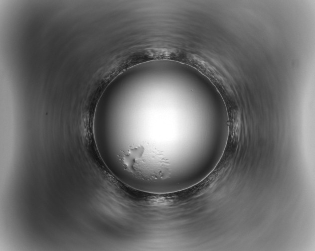 X0000096410616200801241222