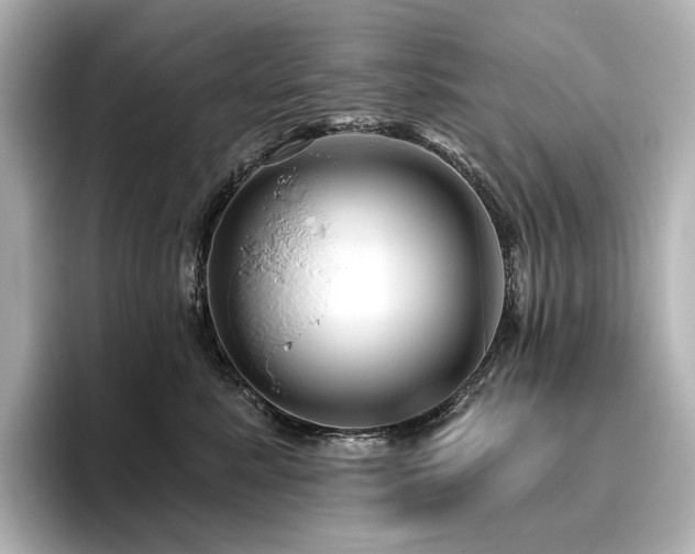 X0000096410619200801241222