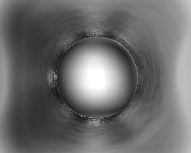 X0000096410624200801241222