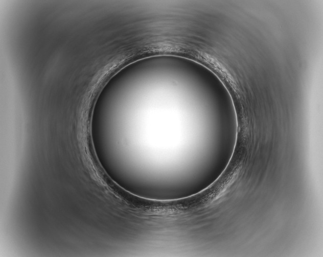 X0000096410625200801241221