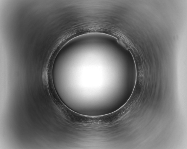 X0000096410626200801241221