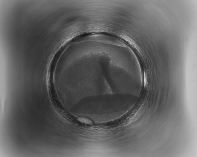 X0000096410627200801241221